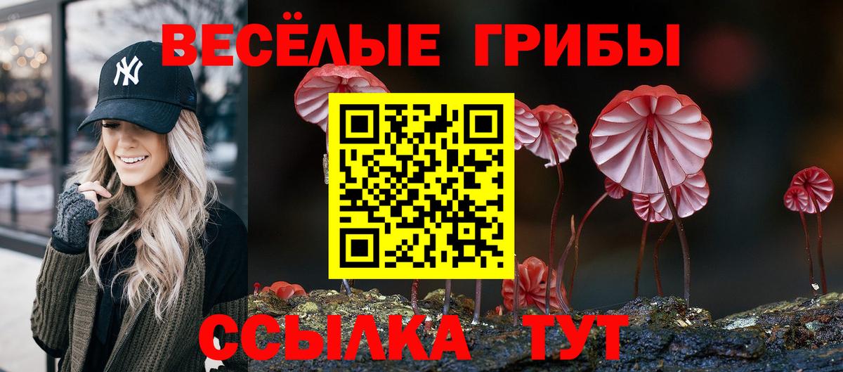 Нарьян-Мар  Галлюциногенные грибы прущие грибы  Вход с VPN 